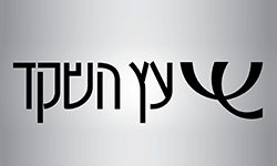 עץ השקד עץ השקד