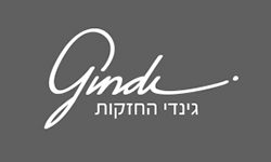 גינדי אחזקות גינדי אחזקות